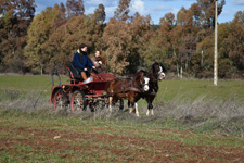 Spain-Central Spain-On the Route of Don Quixote de la Mancha